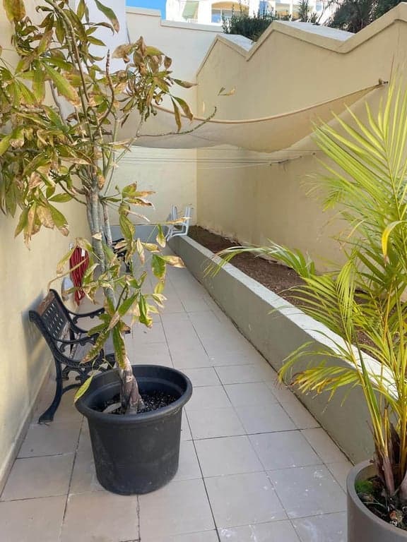 Apartment in Marsaskala - 2